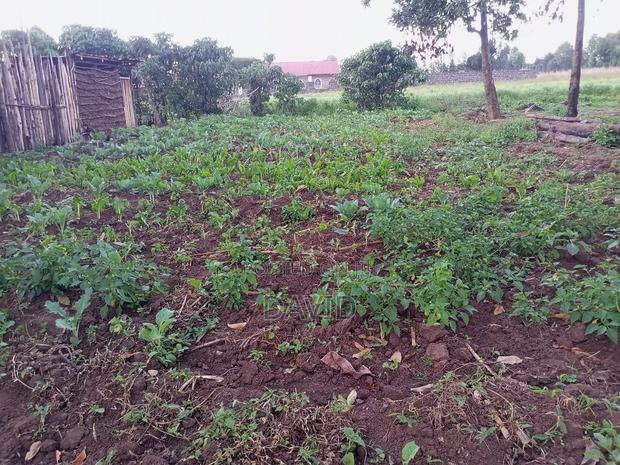 One Acre for Sale in Wanyororo Lanet - thumbnail 2