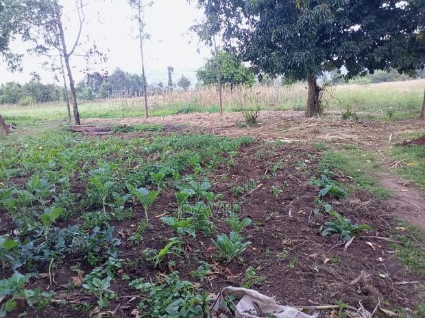 One Acre for Sale in Wanyororo Lanet - thumbnail 3