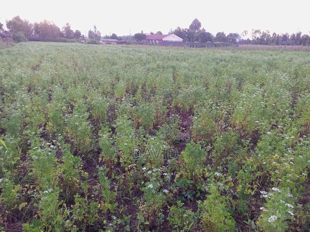 One Acre for Sale in Wanyororo Lanet - main view