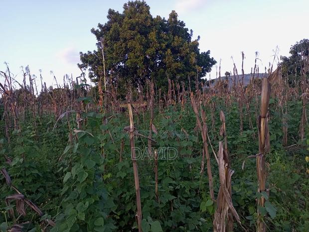 One Acre for Sale in Wanyororo Lanet - thumbnail 4
