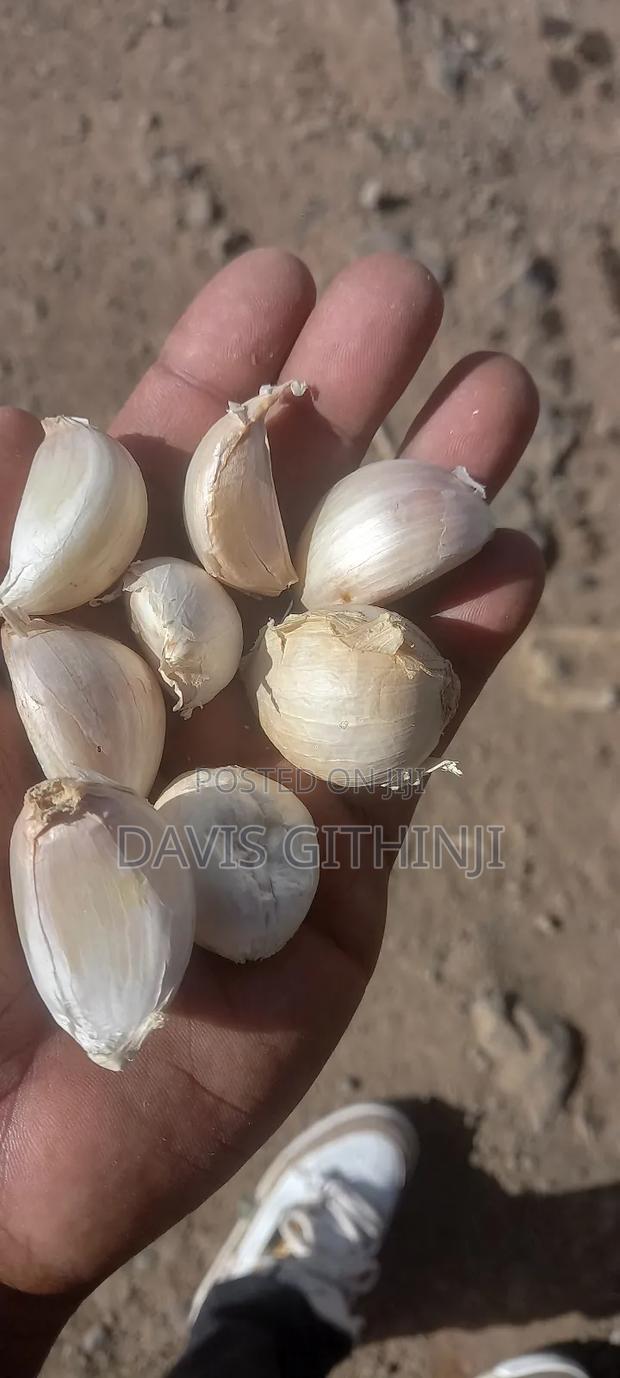 Rwanda Garlic Seeds - thumbnail 3