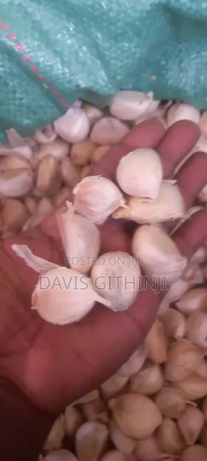 Rwanda Garlic Seeds