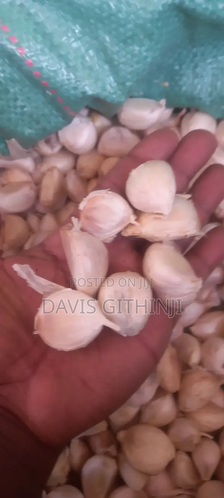 Rwanda Garlic Seeds
