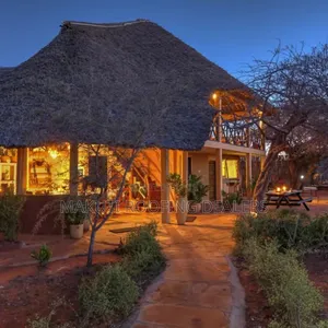 Makuti Roof, Expert in Roofing