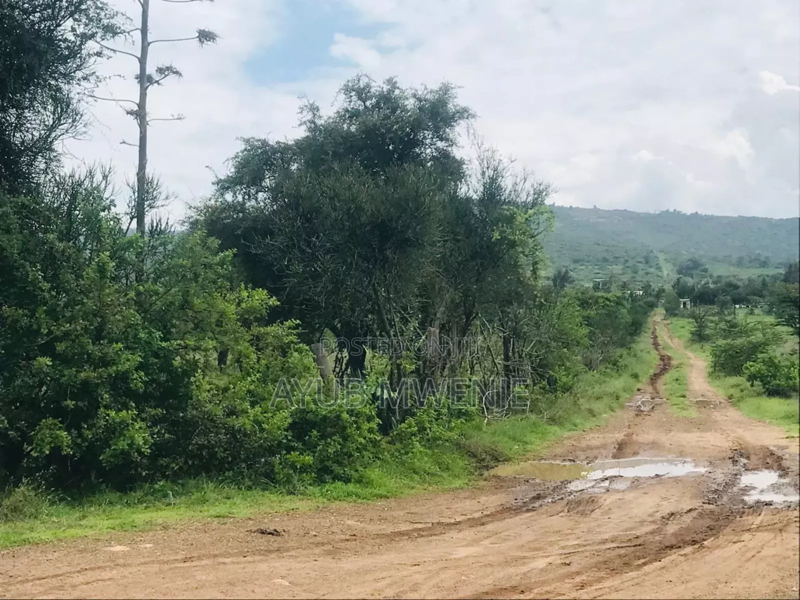 10 Acres For Sale