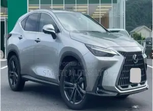 Lexus NX 250 FWD 2021 Silver