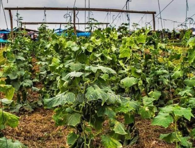 Agriculture Crop Support Thread