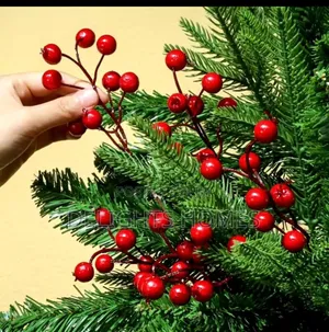 5 Piece Cherry Berry Decor
