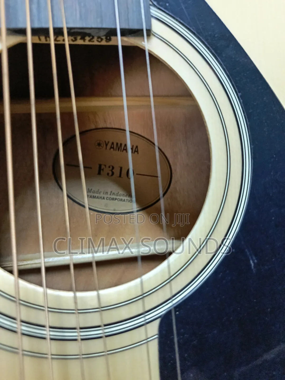 Yamaha Acoustic F310