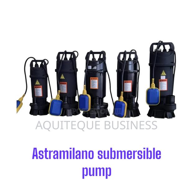 Submersible Pump- Astramilano - main view
