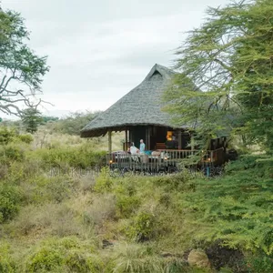 Makuti Dealer in Amboseli