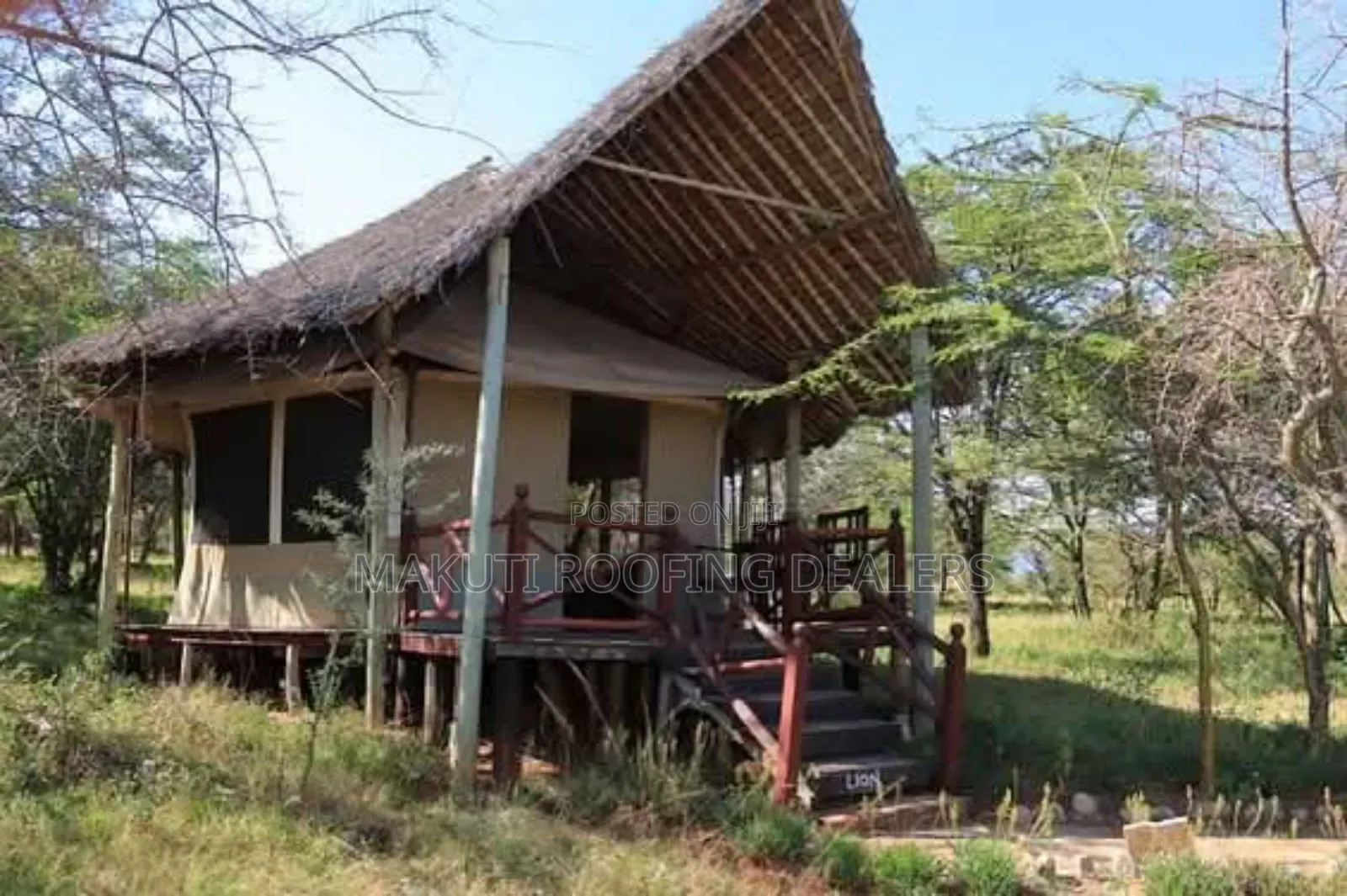 Makuti Dealer in Amboseli