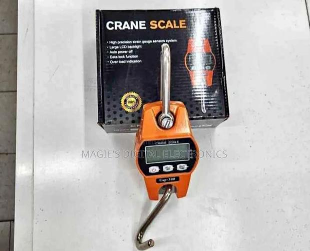 300kg Crane Scale