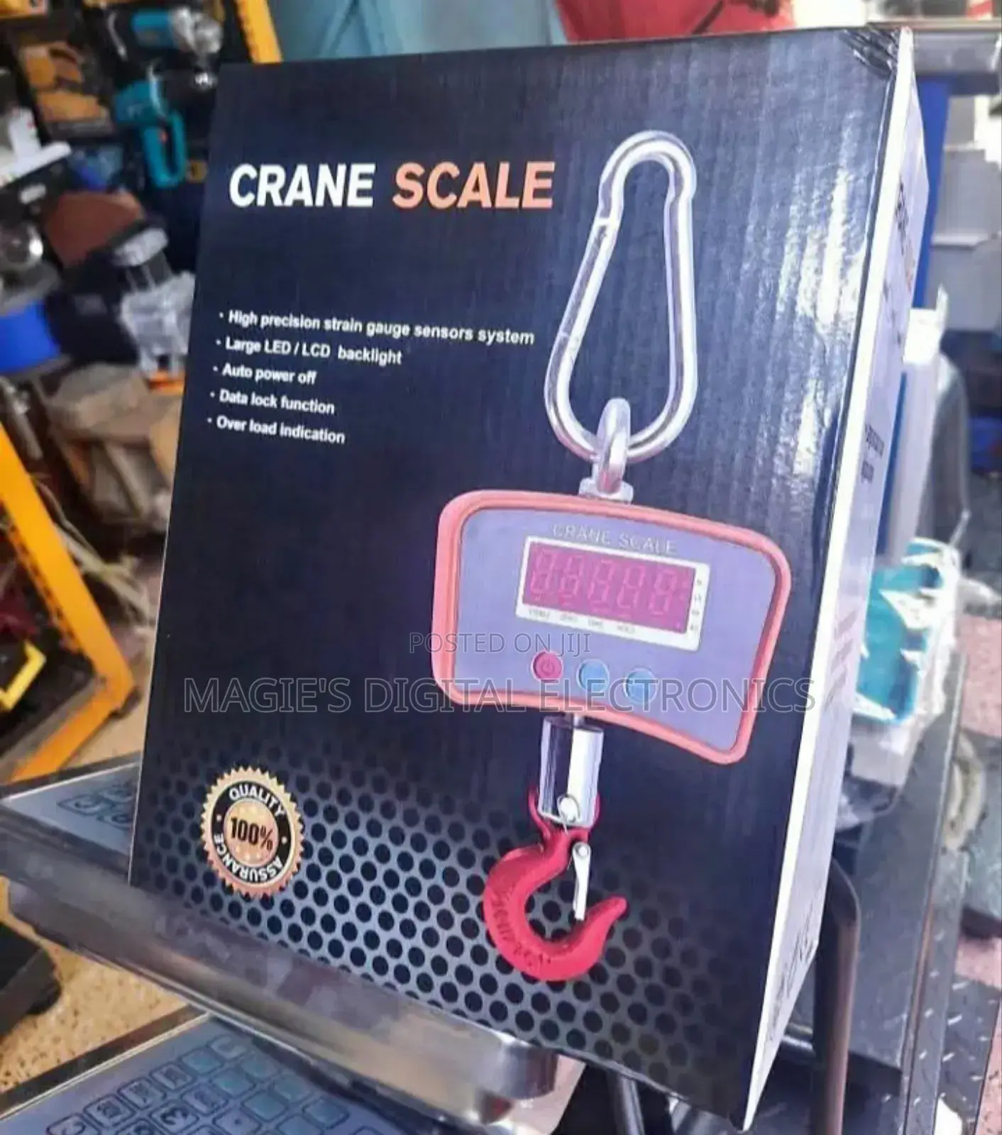 Portable 300kg Crane Scale