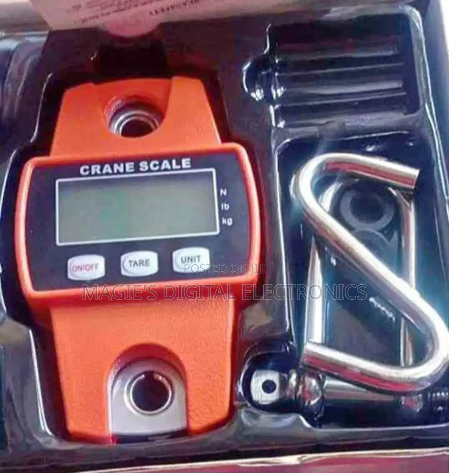 Accurate 300kg Crane Scale