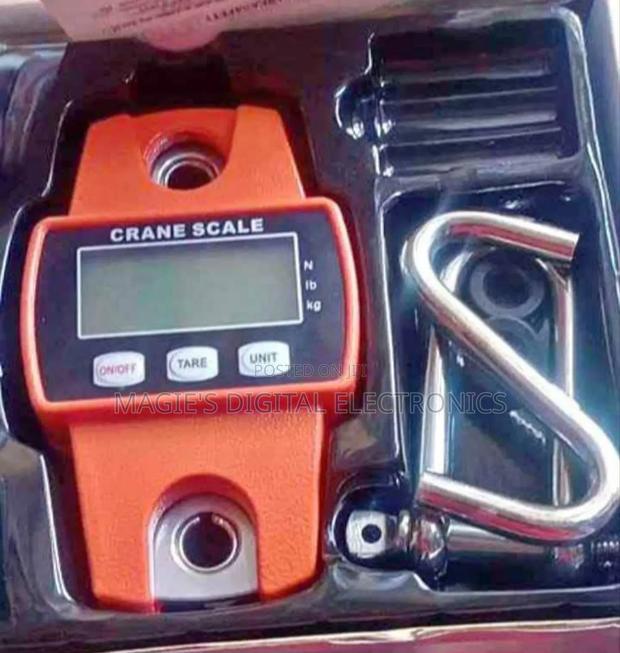 Accurate 300kg Crane Scale