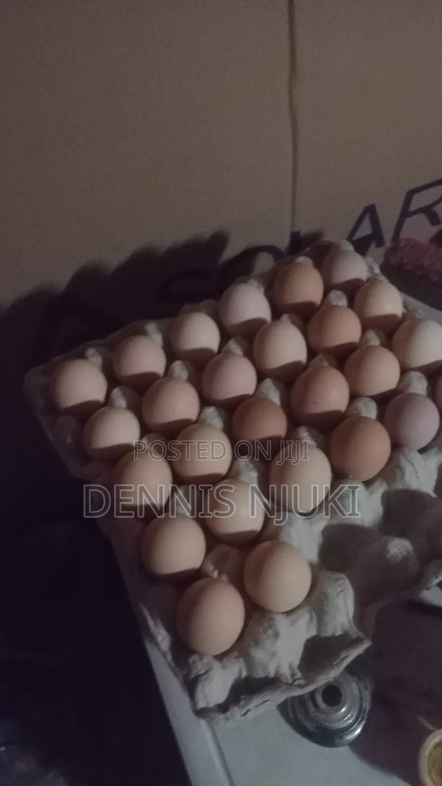 Brahma Chicken Eggs