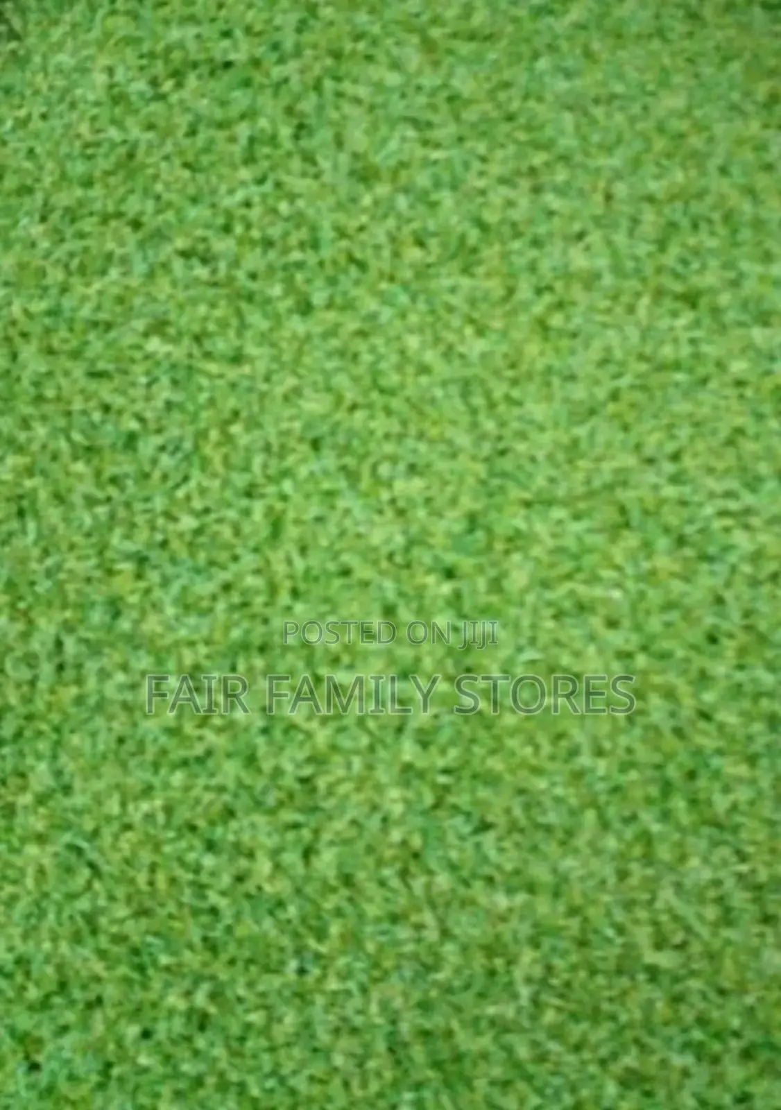 Grass Carpet