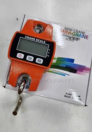 Mini 300kgs Crane Scales - thumbnail 2