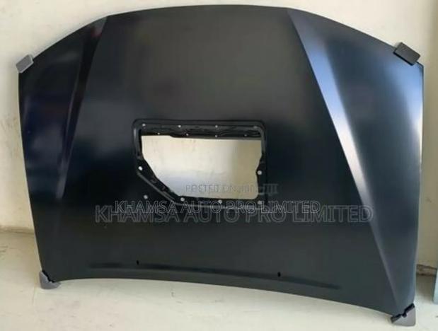 Vigo 2012 Bonnet With Hole