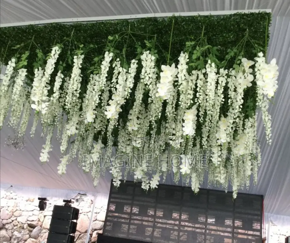 White Beautiful Wisteria Hanging Vines