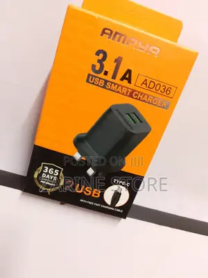 Amaya Smart Fast Charger 2 USB Port Type C