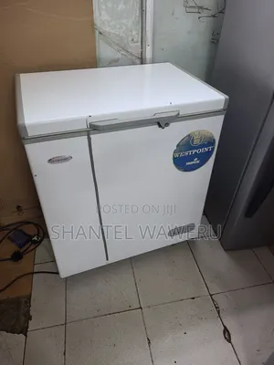 Commercial Deep Freezer 200litres
