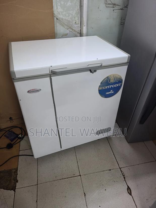 Commercial Deep Freezer 200litres - thumbnail 2