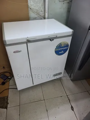 Commercial Deep Freezer 200litres