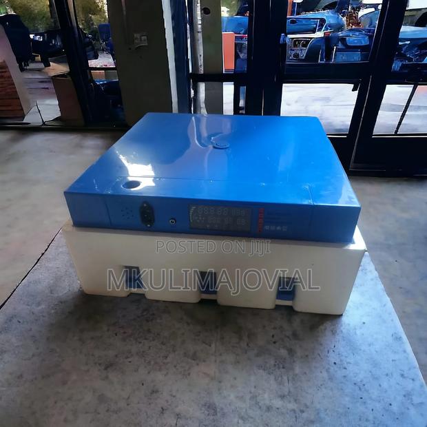 Eggs Incubator/64 Eggs Incubator Machine