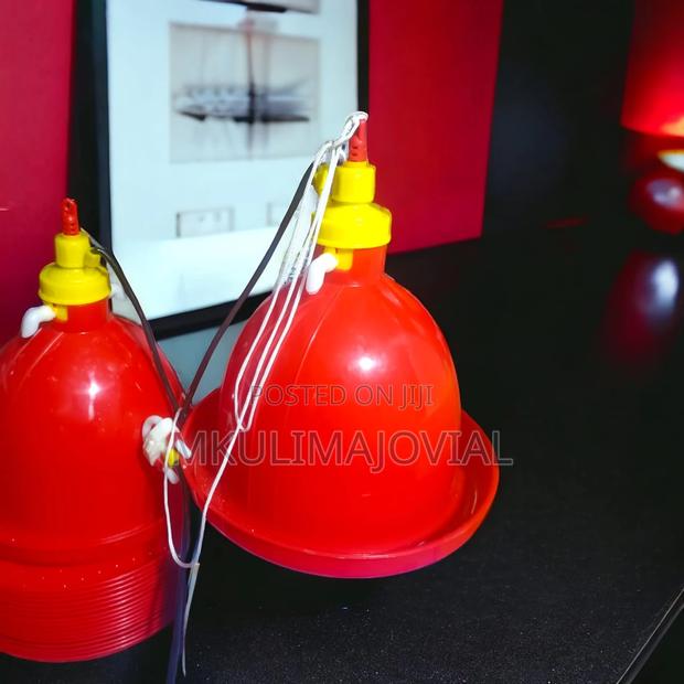 Automatic Plasson Bell Drinker High Quality Chicken Drinkers