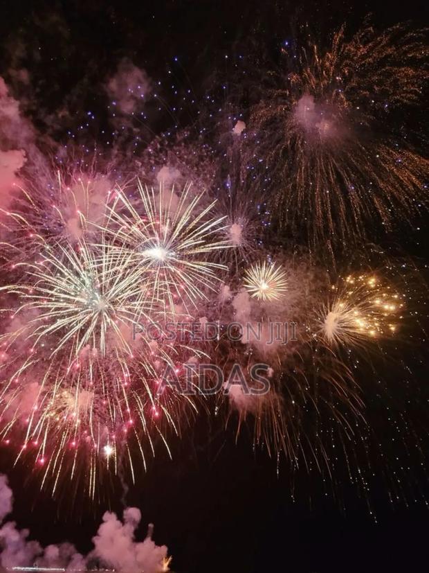 16 Shots Zeta Fireworks - main view