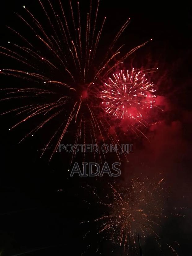 9 Shots Hormiga Fireworks - main view