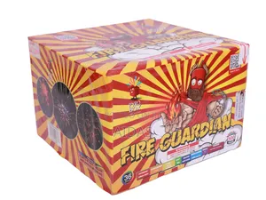 36 Shots Fire Guarding Fireworks