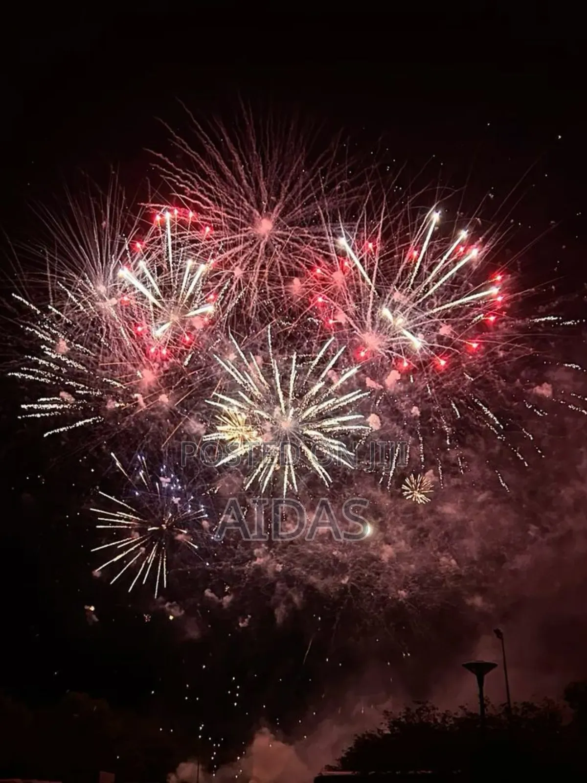 49 Shots Zodiaco Fireworks