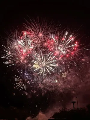 49 Shots Zodiaco Fireworks