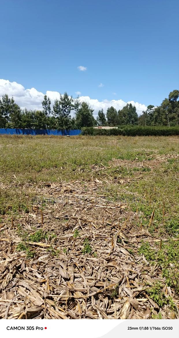 1/8plots and 1/4plots Chepkanga Ideal for Residential.