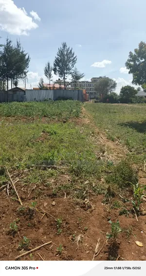 3/4 Plot in Kapsoya Ideal for Commercial With Title.