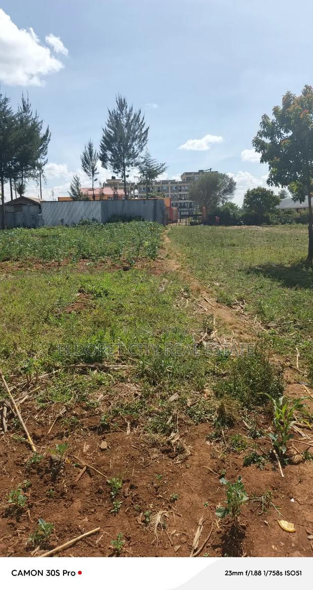 3/4 Plot in Kapsoya Ideal for Commercial With Title. - thumbnail 2
