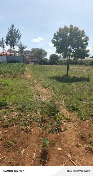 3/4 Plot in Kapsoya Ideal for Commercial With Title.