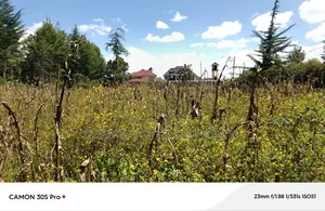 1 Acre Elgon View Ideal for Residential With Title.