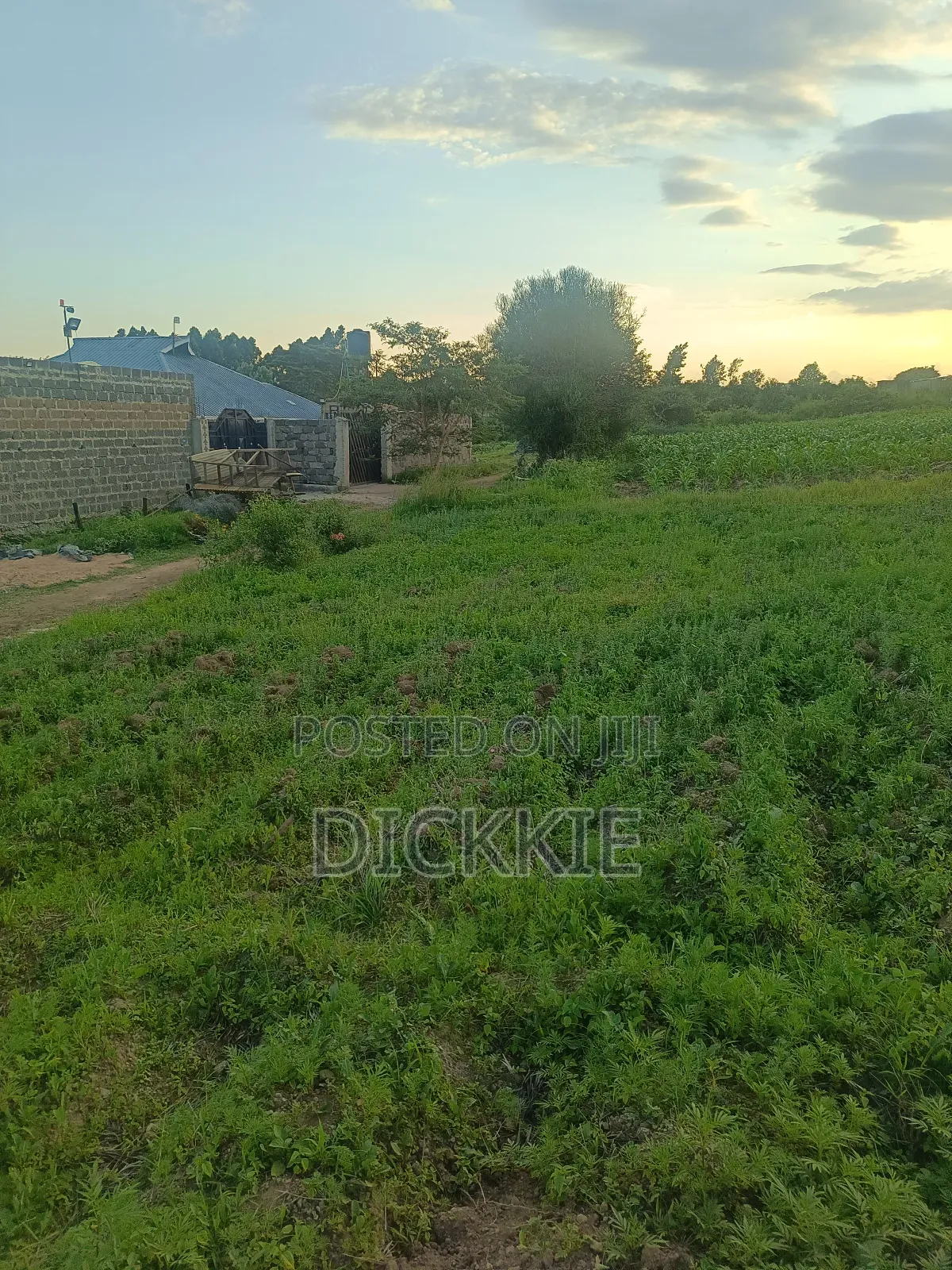 Prime Plots for Sale in Juja