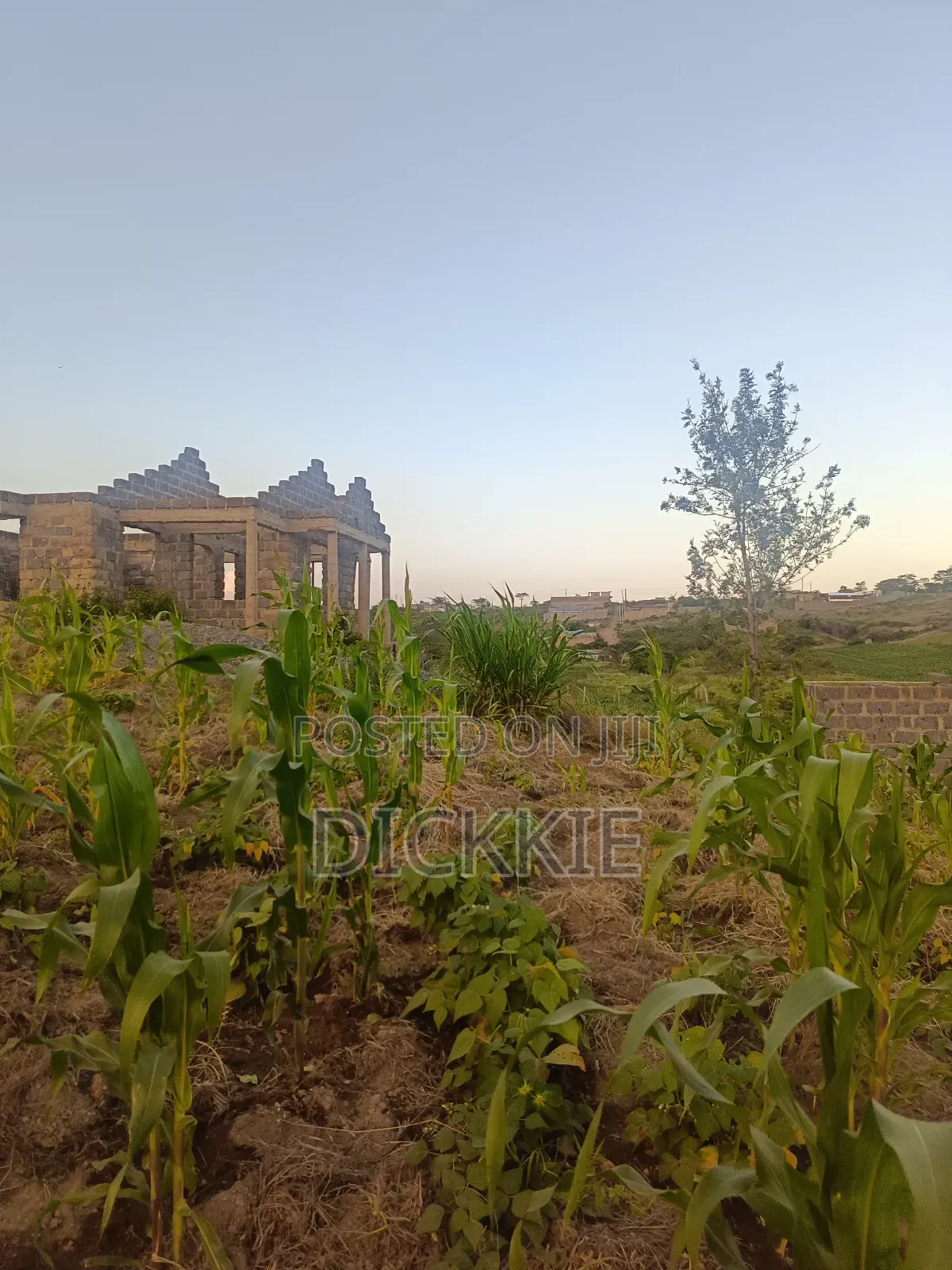 Prime Plots for Sale in Juja