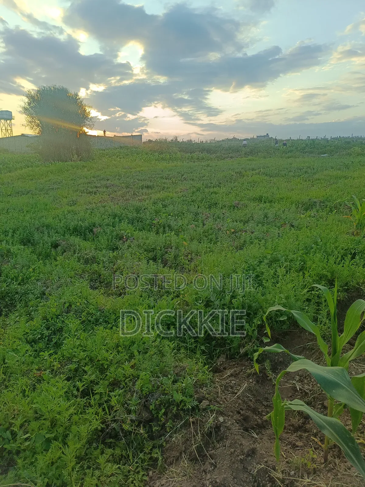 Prime Plots for Sale in Juja