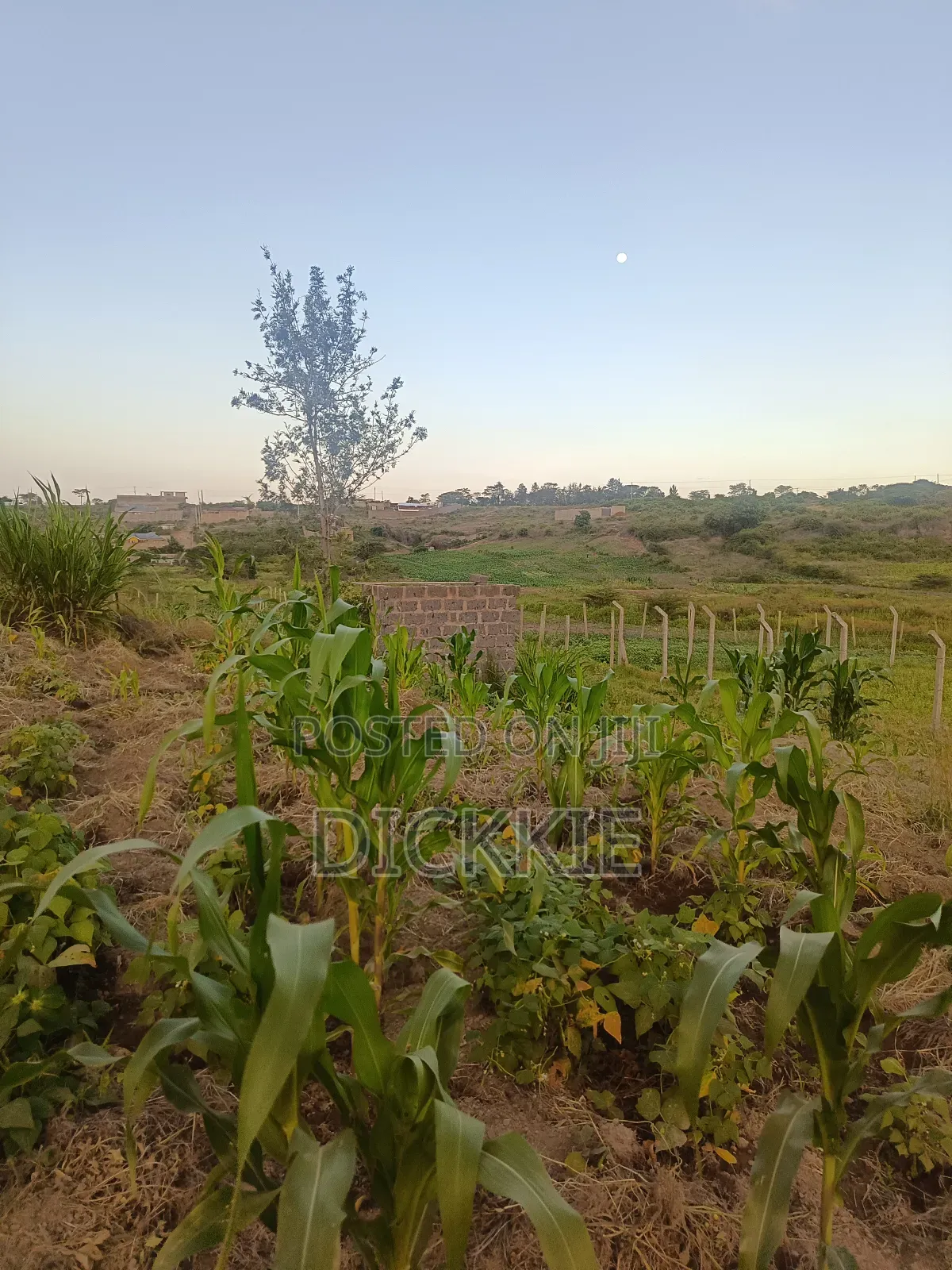 Prime Plots for Sale in Juja