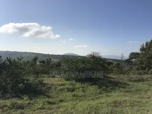 Two Acres Land Mua Hills