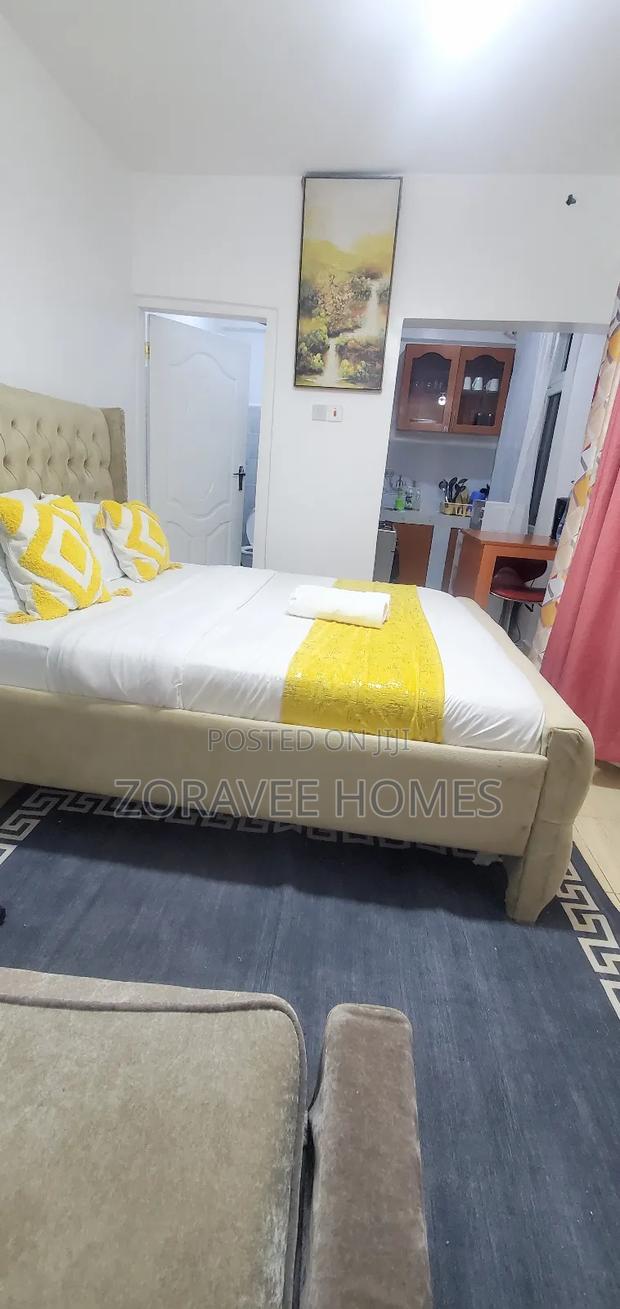 Cozy Studio in Milimani KSM - main view