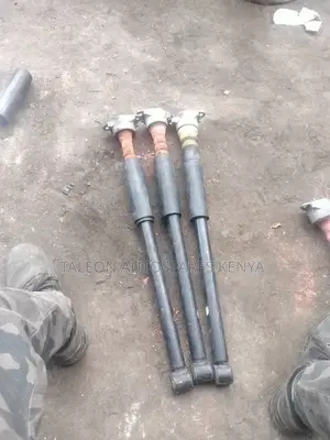 Mazda Verisa Rear Shocks
