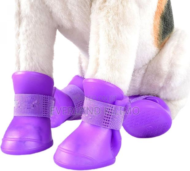 Dog Waterproof Boots - main view