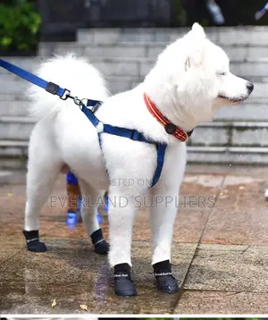 Dog Boots - Small